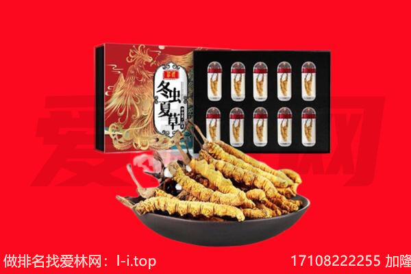 武汉市青山回收虫草.jpg